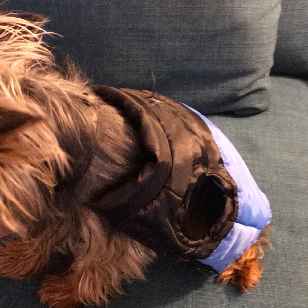 Puppy jackets - Picture 2 of 4
